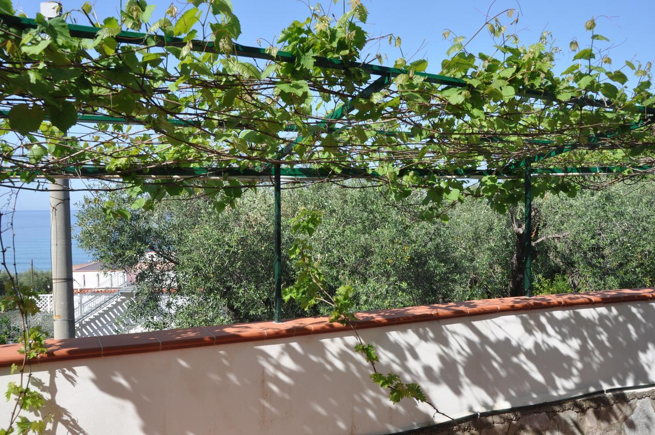 Residence San Salvatore Trogir Exterior foto