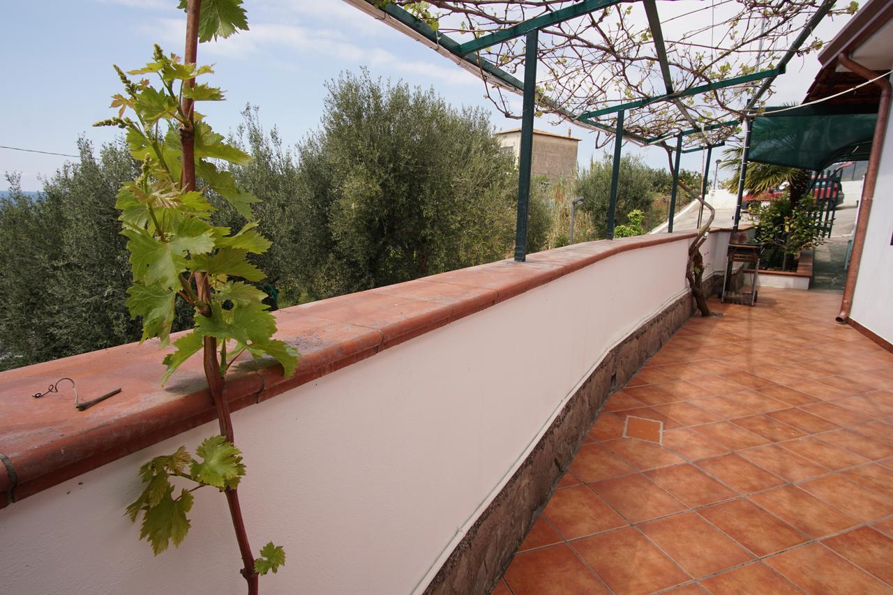 Residence San Salvatore Trogir Exterior foto