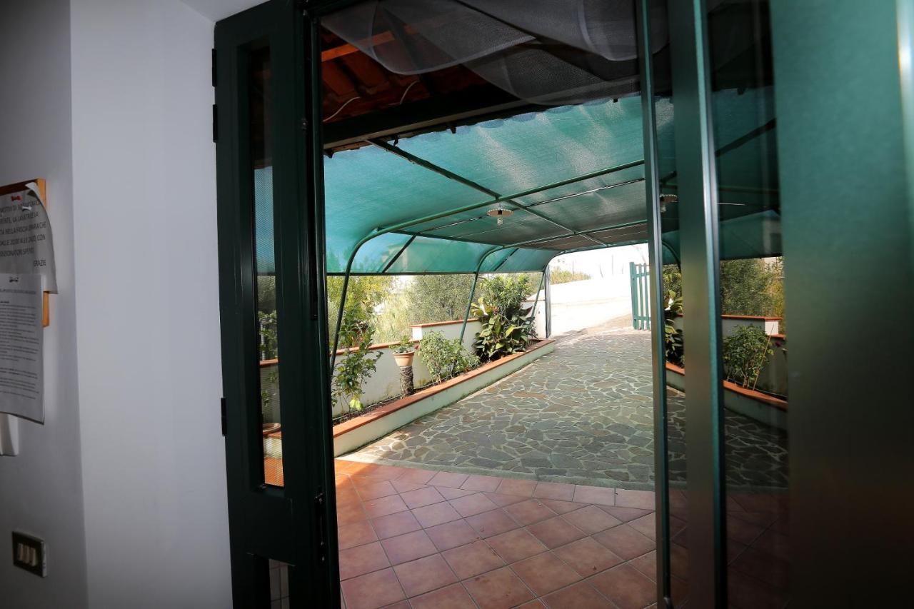 Residence San Salvatore Trogir Exterior foto